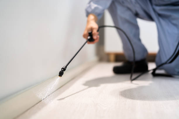Professional exterminator conducting IPM assessment in Elizabeth Lake